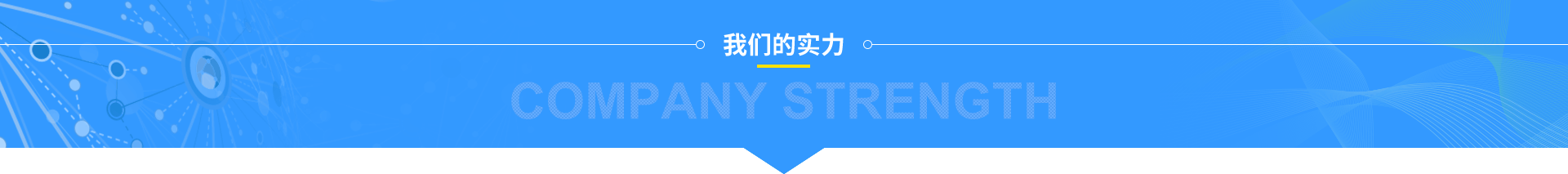 個(gè)性化定制方案